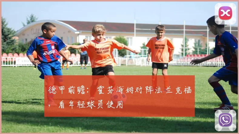 德甲前瞻:霍芬海姆对阵法兰克福,看年轻球员使用