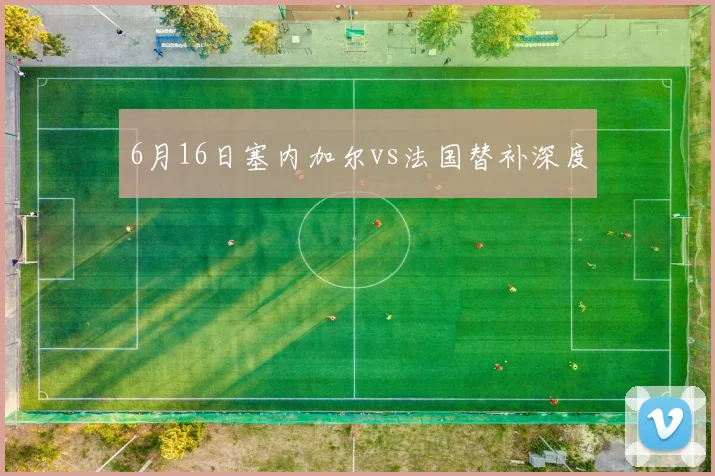 6月16日塞内加尔vs法国替补深度