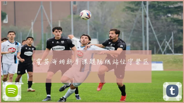 霍芬海姆新季课题防线站位守禁区