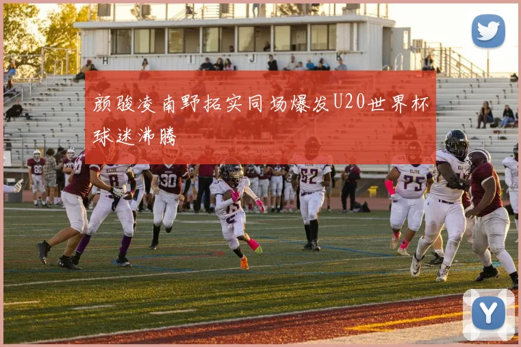 颜骏凌南野拓实同场爆发U20世界杯球迷沸腾