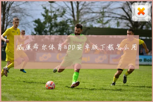 威廉希尔体育app安卓版下载怎么用
